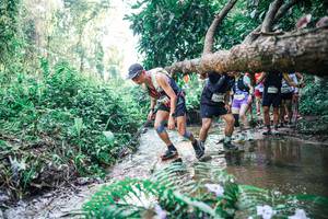 BIB: 
                            <button type="button" onclick="openModal(25462118)" class="btn btn-primary btn-sm float-right btn-popup" data-toggle="modal" data-target=".modal-high-quality">
                        <i class="fas fa-shopping-cart"></i> Add to Cart
                    </button>
                                            <button type="button" onclick="isThisMe(25462118, true)" class="btn btn-success btn-sm float-right btn-popup btn-isme hidden" data-toggle="tooltip" data-placement="bottom" title="นี่คือรูปของคุณใช่ไหม คลิกที่นี่เพื่อเอาเข้าอัลบั้ม">
                        <i class="fas fa-plus"></i> Add to album
                    </button>
                    <button type="button" onclick="isThisMe(25462118, false)" class="btn btn-warning btn-sm float-right btn-popup btn-isnotme hidden">
                        <i class="fas fa-ban"></i> Remove from album
                    </button>